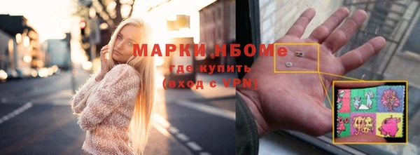 ПСИЛОЦИБИНОВЫЕ ГРИБЫ Вяземский