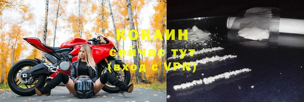 ПСИЛОЦИБИНОВЫЕ ГРИБЫ Вяземский